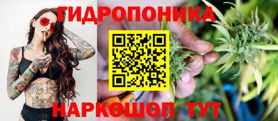 a pvp Заводоуковск