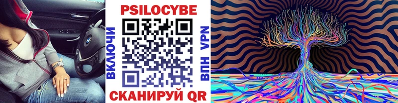 Псилоцибиновые грибы Psilocybine cubensis  закладки  Оренбург 