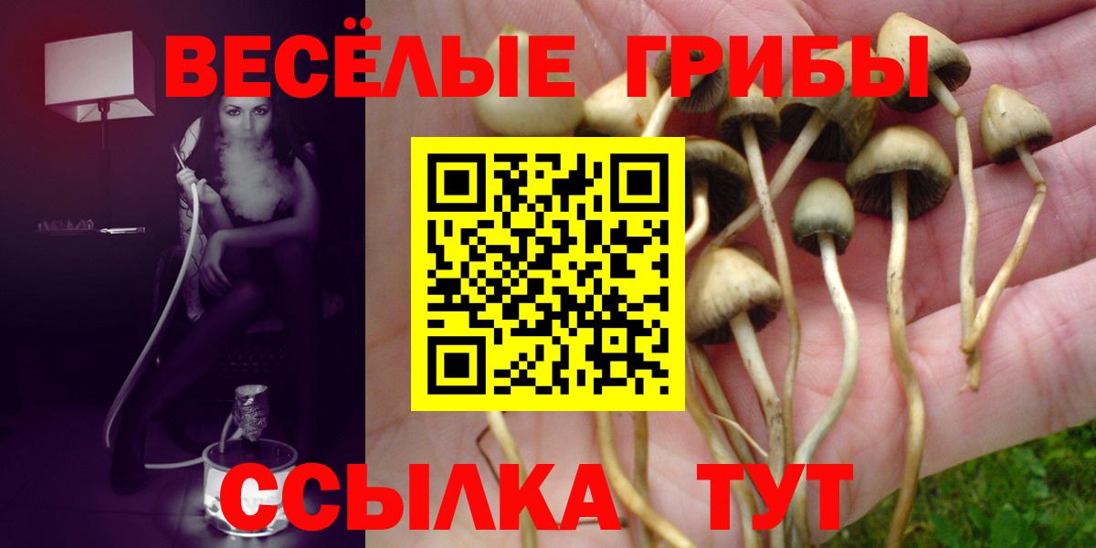 Галлюциногенные грибы Psilocybe  даркнет сайт  Оренбург  Вход с VPN 